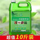 超濃縮型營(yíng)養(yǎng)液通用型花草盆栽水培花卉養(yǎng)花綠蘿肥料室內(nèi)綠植花肥 5000ml大桶裝