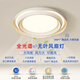 朗上照明臥室吸頂燈現(xiàn)代簡約圓形無葉風(fēng)扇燈全光譜護(hù)眼新款電扇一體房間燈 白色 52CM 全光譜 無極+天貓精靈