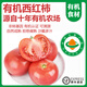 【新疆 有機西紅柿】新鮮買蔬菜自然熟沙瓤大番茄普羅旺斯 【家庭裝】 2.5kg