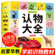 認物大全認標志認水果動(dòng)物形狀顏色繪本兒童0-3-6歲寶寶啟蒙認知讀物認識名車(chē)各國卡片書(shū)籍