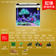 初迪魚缸熱彎高清玻璃家用桌面小型客廳懶人免換水自循環(huán)水族箱金魚缸 U380江山造景缸【38.5x27x42.5cm】