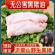 千畝山無(wú)公害沂蒙山新鮮散養(yǎng)黑豬土豬油膘油板油拌飯起酥油豬油渣2斤 豬膘油2斤