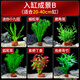 瘋狂水草懶人水草植物直接入缸火山石魚缸造景套餐20-40cm缸源頭直發(fā)包郵b