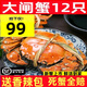 【活蟹】精品大閘蟹六月黃鮮活螃蟹現(xiàn)貨生鮮水產(chǎn)禮盒 精選六月黃10只裝單只1.2兩起