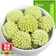 福茗源 綠蘿花茶 西藏綠蘿結(jié)香雪麗花茶綠蘿茶 新貨滋補(bǔ)養(yǎng)生茶飲250g