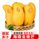 海南金煌芒9斤芒果熱帶水果現(xiàn)摘甜心黃皮水仙芒整箱 5斤品質(zhì)裝【單果300g+】