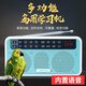 威畢鳥用學(xué)習(xí)機八哥鳥學(xué)話機復(fù)讀機鸚鵡學(xué)舌器鷯哥學(xué)舌機教鳥說話訓(xùn)練 藍(lán)牙多功能語音播放器