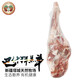 謝利蓋新疆羊肉巴什拜羊羔肉塔城原切羊排腿蝎子切片年貨食材禮年貨盒裝 羊后腿5斤裝