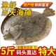 新食道多寶魚(yú)鮮活冷凍比目魚(yú)海鮮水產(chǎn) 600g 左右2條裝