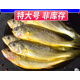 黃花魚(yú)新鮮海捕冷凍小黃魚(yú)新鮮速凍鮮活批發(fā)深海魚(yú)海鮮 6-8條/斤 純特大號 買(mǎi)2斤贈3斤 共5斤超值價(jià)