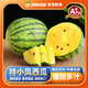 沐瑾現(xiàn)摘特小鳳西瓜黃肉西瓜新鮮水果當(dāng)季冰淇淋黃瓤甜瓜薄皮黑籽整箱 1.5斤丨1.5-2斤丨 1-2個裝丨普運(yùn) 優(yōu)選品質(zhì)