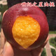 CHUANGSHIJI【世紀(jì)之星油桃】苗桃樹嫁接苗黃油桃樹苗冬桃苗南北方種植當(dāng)年結(jié) 8年苗結(jié)果多多的 81cm(含)-110cm(含)