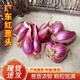 辰實(shí)【現(xiàn)貨】廣東紅蔥頭 新鮮干蔥頭火小香蔥子 農(nóng)家可種做腸粉汁 2斤