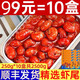 10盒250g麻辣小龍蝦尾即食麻辣海鮮熟食龍蝦尾麻辣龍蝦尾特大蝦尾 麻辣龍蝦尾250g*10盒裝