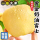 儲褚正宗山東黃金奶油富士蘋(píng)果 冰糖心 新鮮當季水果元帥蘋(píng)果整箱包郵 4.5斤大果【80mm+約6-9枚】