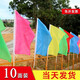 卓瑪詩雅 三角串旗彩旗開業(yè)婚慶節(jié)慶裝飾布置院子工地警戒戶外活動彩色旗子旗幟彩旗刀旗飄旗 刀旗 豎版60*90cm(五色10面)