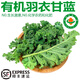 諸氏橙品【有機(jī)】羽衣甘藍(lán) 云南新鮮現(xiàn)摘 健康輕食沙拉食材 榨汁有機(jī)蔬菜 有機(jī)羽衣甘藍(lán)1.2KG【實(shí)惠暢享】