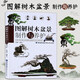 圖解樹木盆景制作與養(yǎng)護(hù) 盆景書籍盆栽圖書大全樹木盆景造型設(shè)計書栽培技術(shù)盆景栽培技術(shù)書中小型盆景制作圖解家庭園藝書