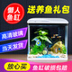 舒博萊特（SHUBOLAITE）魚(yú)缸水族箱懶人家用客廳小型迷你生態(tài)桌面金魚(yú)缸造景玻璃過(guò)濾魚(yú)缸 300-高端造景套裝 + 養(yǎng)魚(yú)大禮包