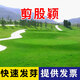 萌蘊(yùn)（MengYun）進(jìn)口草坪種子草籽矮四季青草種護(hù)坡綠化耐寒耐旱免修剪草皮草種子 【剪股穎】高爾夫場一斤