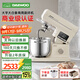 大宇（DAEWOO）家用大白象廚師機CSJ06 商用大容量輕音和面揉面壓面一體機 全自動(dòng)多功能電動(dòng)打蛋器料理機 7L