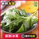 新鮮冰草蔬菜沙拉輕食西餐涼拌生吃食材水晶冰菜冰花冰葉 500g