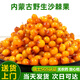 內(nèi)蒙沙棘鮮果純果酵素榨汁滿滿VC源動(dòng)力瑞士SGS認(rèn)證無農(nóng)殘3斤 3斤 20小袋 免洗包裝