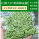 果木島重慶江津特產九葉青花椒保鮮藤椒50g*6/12袋生麻椒真空冷凍鮮花椒 50g*12袋