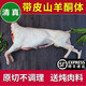 李師傅清真帶皮羊肉酮體 新鮮全羊白條半只冷凍多退少補(bǔ) 整只帶皮羊腿肉 帶皮全羊半只25斤(多退少補(bǔ)