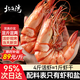 北海灣 九節蝦干 特大即食烤蝦干大對蝦干斑節蝦干海產(chǎn)干貨風(fēng)干A2大烤蝦 大號九節蝦干【約50只】?jì)糁?00g