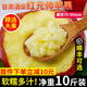甘肅酒泉紅元帥蘋(píng)果新鮮水果粉面沙甜粉蘋(píng)果刮泥果粉糯當季可選順 80mm（含）-85mm(不含) 精選大果 9斤