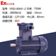 YFB3粉塵防爆電動(dòng)機(jī)隔爆三相380v銅芯國標(biāo)馬達(dá)防爆等級(jí)IP65/CT4 國標(biāo)粉塵防爆750W/2900轉(zhuǎn)