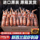 超樸生鮮【順豐空運(yùn)-原裝進(jìn)口】新西蘭鰲蝦2kg裝scampi原裝進(jìn)口即食刺身 原箱進(jìn)口2kg性價(jià)比家庭裝 25-27cm（11-15只/kg）