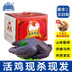 泰和烏雞正宗原種烏雞現(xiàn)殺現(xiàn)發(fā)林下散養(yǎng)生鮮優(yōu)質(zhì)雞700g凈重白鳳烏雞肉煲湯 600天老烏雞