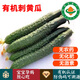 【順豐】有機刺黃瓜 脆嫩爽口無(wú)農殘有機蔬菜孕婦寶寶蔬菜 5斤