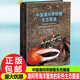 中國(guó)潮間帶螃蟹生態(tài)圖鑒 第一本覆蓋全中國(guó)海域的海洋蟹類(lèi)生態(tài)圖鑒精心篩選2700 余幅高清的彩色生態(tài)圖像