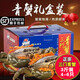浙江三門鮮活青蟹禮盒大螃蟹大紅膏蟹母紅膏蟹 活蟹年貨團購禮品 特大紅膏蟹 2000g共5只【?；睢? title=