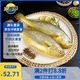 三都港 冷凍寧德大黃魚(yú)700g/2條裝 黃花魚(yú) 生鮮魚(yú)類(lèi) 深海魚(yú) 中秋
