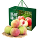 潤味來(lái)山東青州蜜桃新鮮水果當季冬雪毛桃子脆甜冬桃應季整箱 2斤品質(zhì)裝