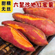 頤品鮮漳州六鰲地瓜紅薯山芋香甜軟糯帶箱5斤新鮮現挖正宗紅心沙地番薯 中小果精選 5斤 （單果重50-150g)