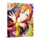 Love Live！The School Idol Movie劇場(chǎng)版官方典藏集