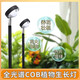邁睿星全光譜 led植物生長(zhǎng)燈仿太陽(yáng)光多肉花卉盆景室內(nèi)植物補(bǔ)光植物燈 20W+2.1米高（定時(shí)線控） 全光譜6000k正白光