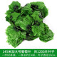 臣埠仿真葉子吊頂綠葉裝飾樹葉綠植物假花藤條塑料管道藤蔓纏繞花藤 145米加大號葡萄葉+5葡萄5燈籠
