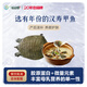 仙湖【活鮮】漢壽生態(tài)甲魚(yú)中華鱉 5年外塘散養(yǎng)水團(tuán)魚(yú)王八生鮮食補(bǔ)送禮 2.5斤5年仙湖漢壽甲魚(yú)