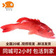 喵和漁【活鮮】鮮活東星斑活魚(yú)海鮮水產(chǎn)魚(yú)類(lèi)活鮮 1.8-2.0斤/一條