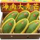 青芒 海南大青芒果禮盒10斤裝 海南三亞特產(chǎn)當(dāng)季新鮮水果特大青皮芒果