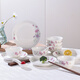 愛(ài)依瑞斯雛菊18頭陶瓷餐具AS-D1816H