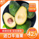 壹農壹果 進(jìn)口牛油果 單果110g起 健康輕食 當季新鮮水果 寶寶輔食 6枚大果【130-160g】