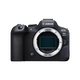 【99成新】佳能（Canon）EOS R6 Mark II 新標(biāo)準(zhǔn)全畫幅微單數(shù)碼相機(jī)R6二代 單機(jī)身 （約40張每秒連拍/6K超采樣4K短片）