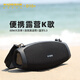維爾晶（W-King） D10+斜挎式便攜低音炮雙麥嗨唱家庭KTV影院無(wú)線(xiàn)充電混響話(huà)筒戶(hù)外徒步露營(yíng)氛圍藍牙音箱選配音響包 單麥Ⅰ
